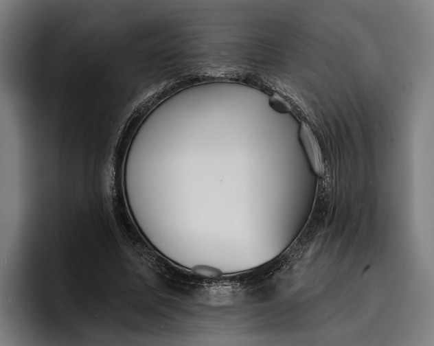 X0000096690587200802191430