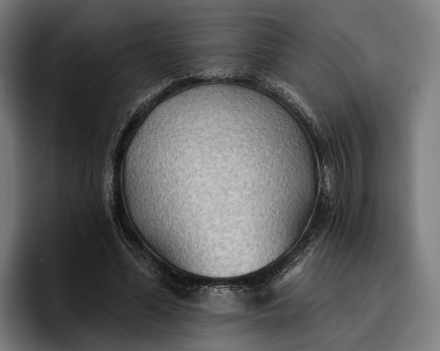 X0000096690588200802191430