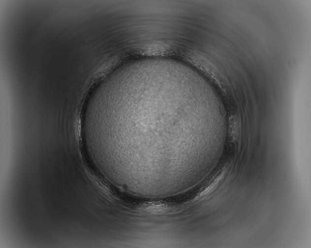 X0000096690589200802191430