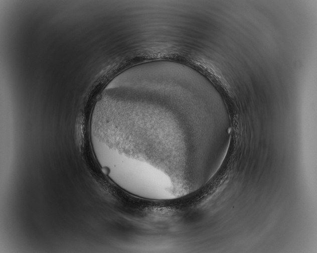 X0000096690590200802191430