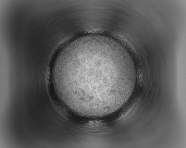 X0000096690591200802191430