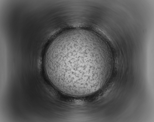 X0000096690592200802191430