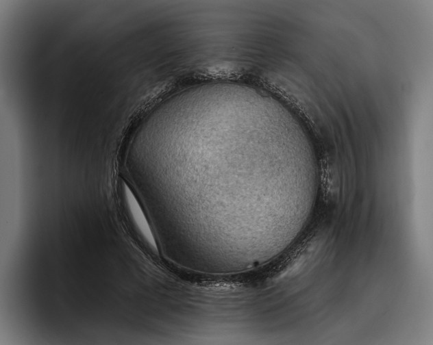 X0000096690593200802191430