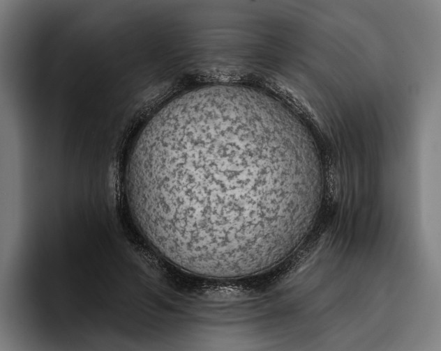 X0000096690594200802191430