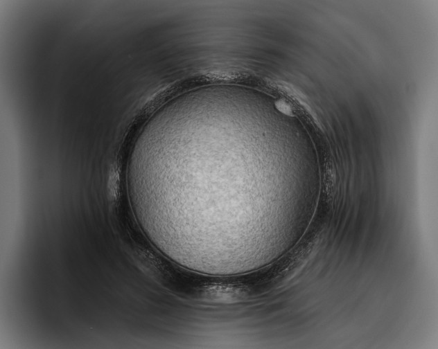 X0000096690596200802191430