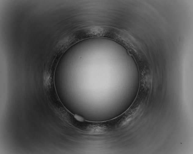 X0000096690597200802191430