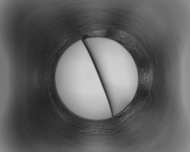 X0000096690599200802191430