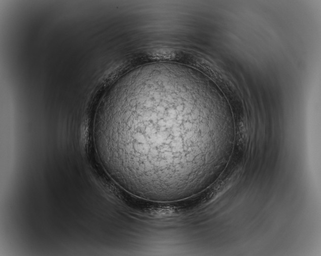 X0000096690600200802191430