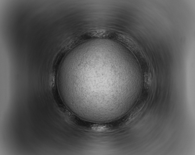 X0000096690602200802191429