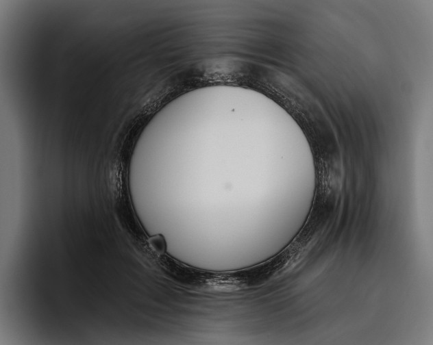 X0000096690603200802191429