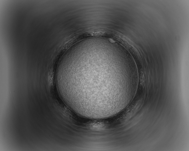 X0000096690604200802191429