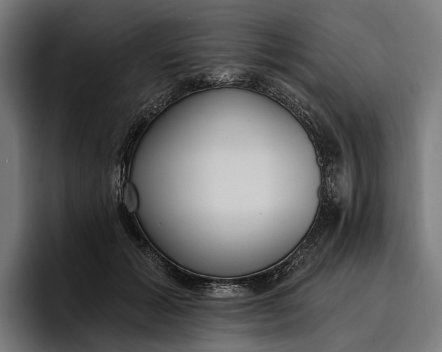 X0000096690605200802191429