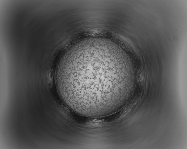 X0000096690607200802191429