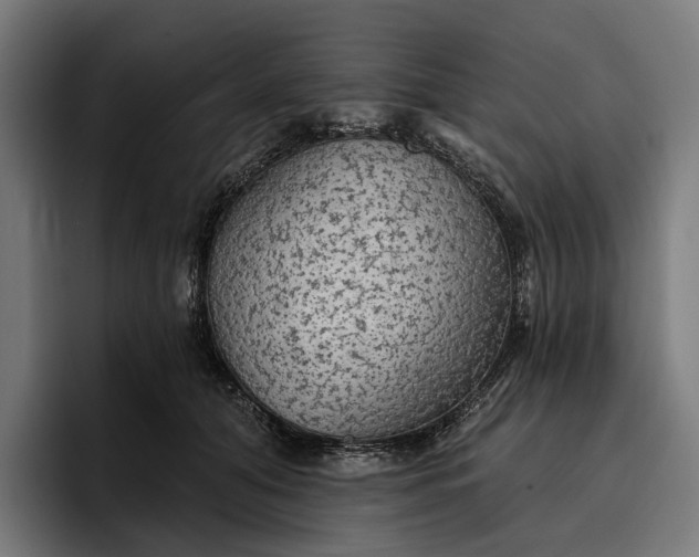 X0000096690608200802191429