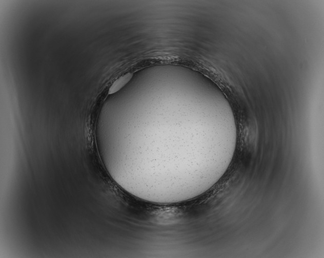 X0000096690609200802191429