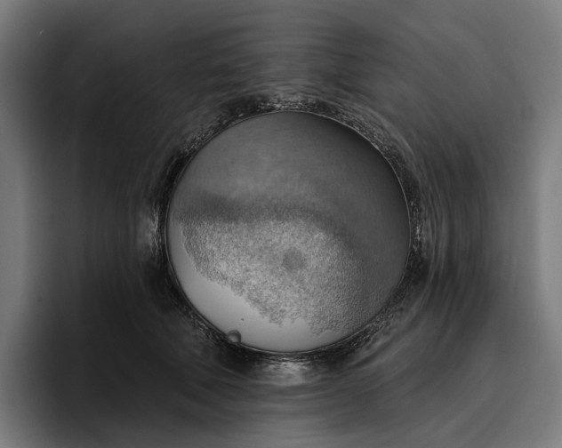 X0000096690610200802191429