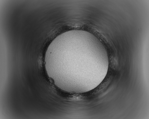 X0000096690612200802191429