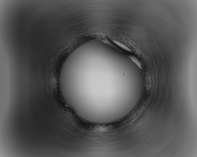 X0000096690613200802191429