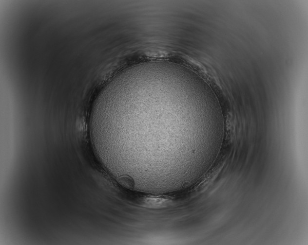 X0000096690614200802191429