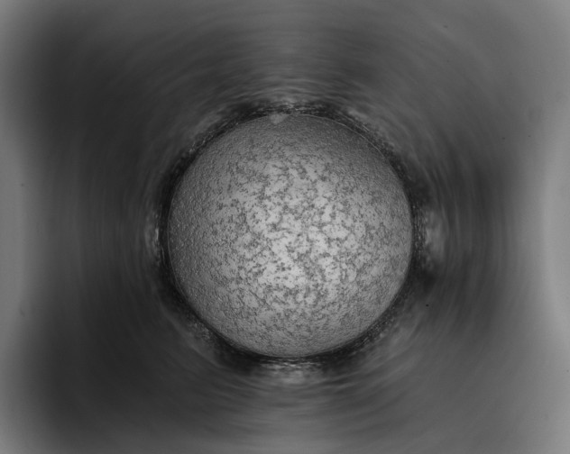 X0000096690615200802191429