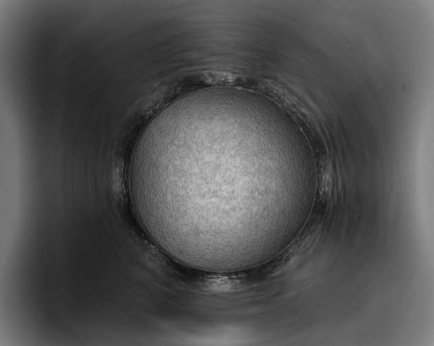 X0000096690616200802191429