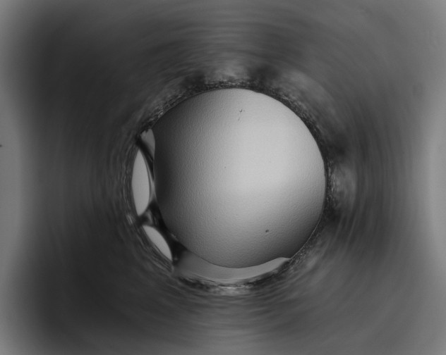 X0000096690617200802191429