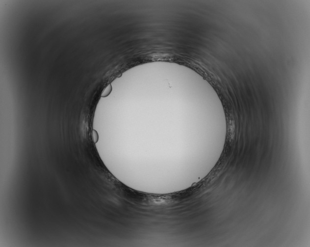 X0000096690618200802191429