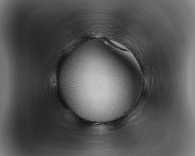 X0000096690620200802191429