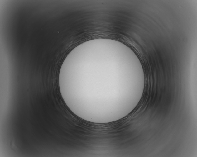 X0000096690621200802191429