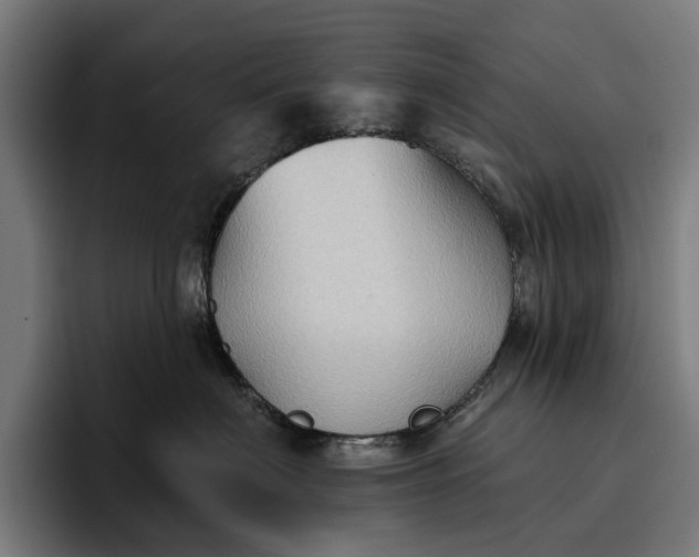 X0000096690622200802191429