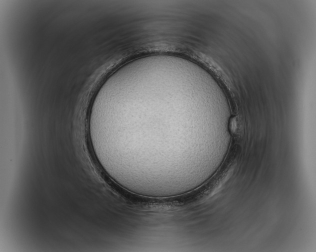 X0000096690625200802191429