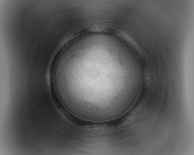 X0000096690626200802191429