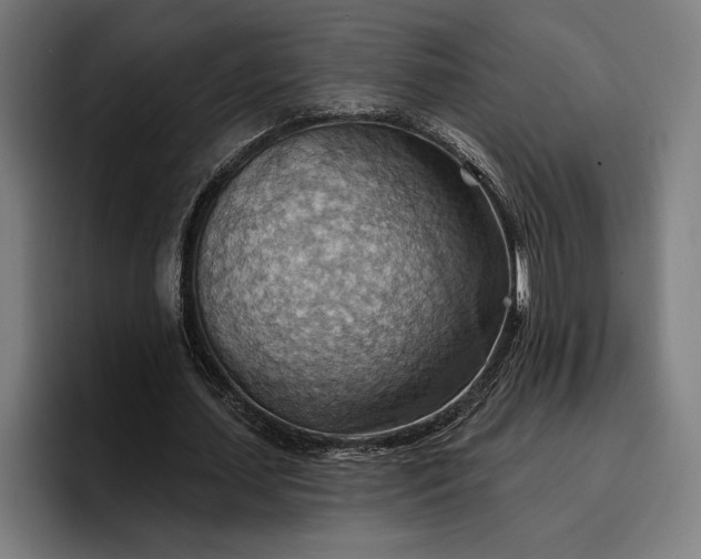 X0000096690627200802191429