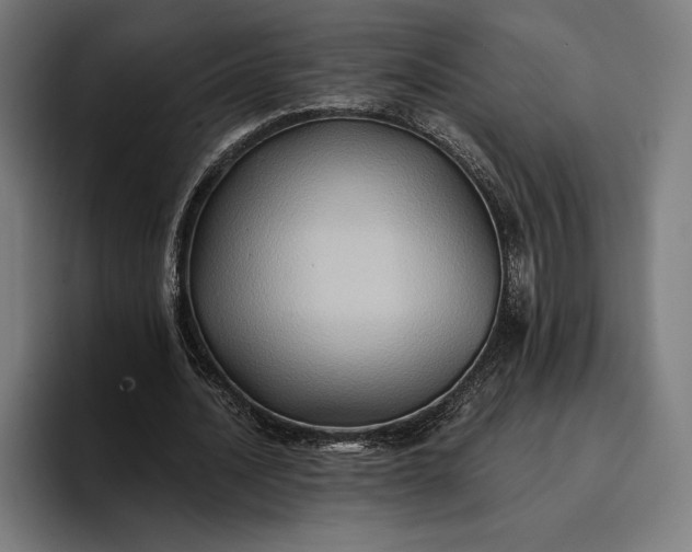 X0000096690628200802191429