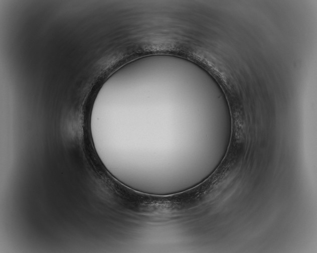 X0000096690631200802191429