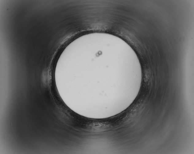 X0000096690632200802191429