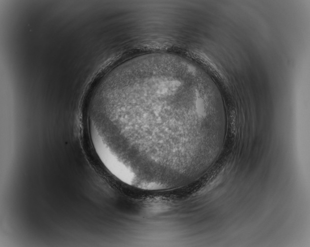 X0000096690634200802191429