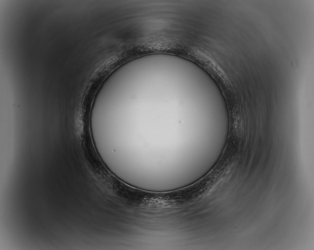 X0000096690635200802191429