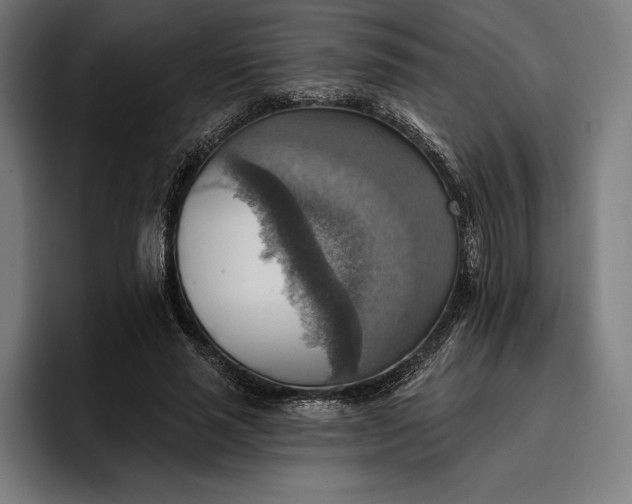 X0000096690637200802191429