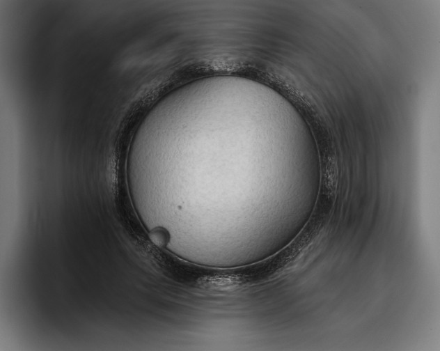 X0000096690639200802191429