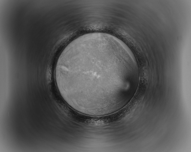 X0000096690640200802191429