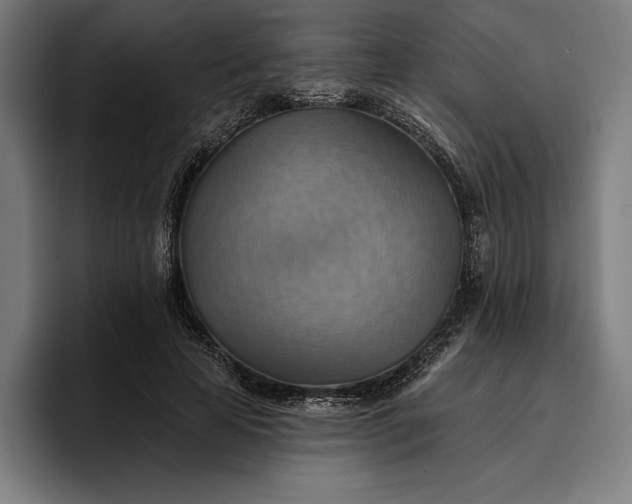 X0000096690641200802191429