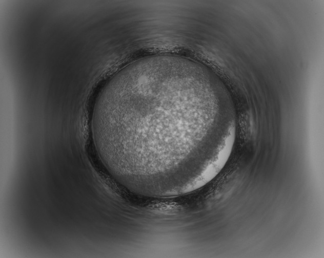 X0000096690642200802191429