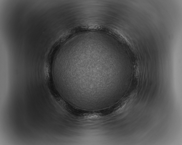 X0000096690643200802191429