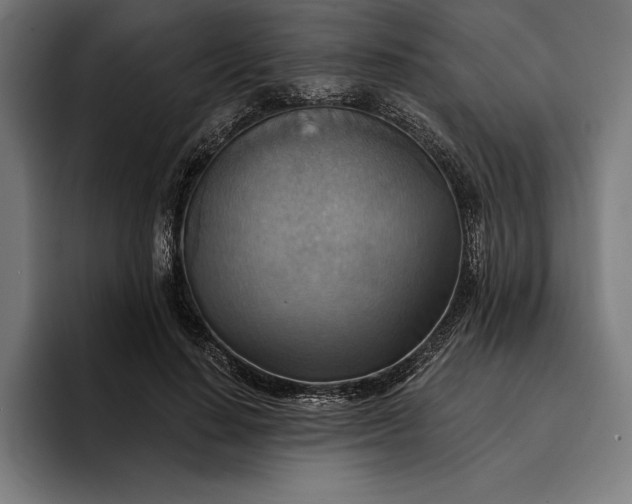 X0000096690644200802191429