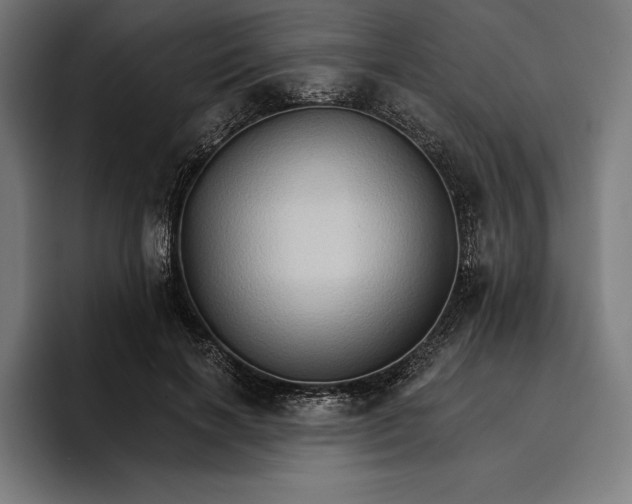 X0000096690646200802191429