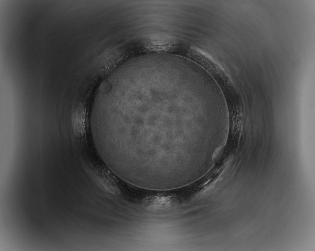 X0000096690647200802191429