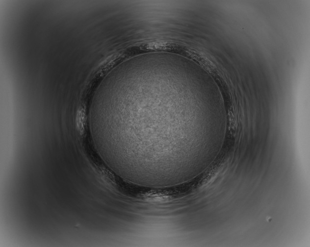 X0000096690648200802191429