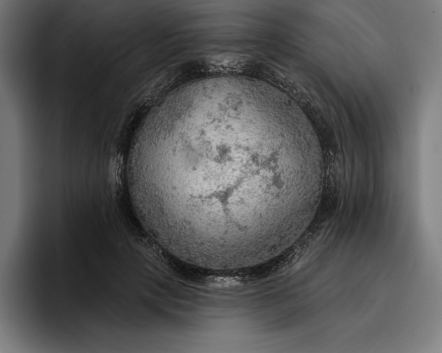 X0000096690649200802191429