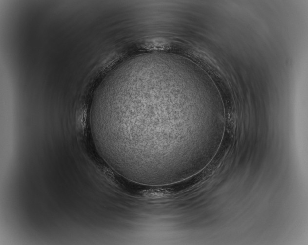 X0000096690652200802191429